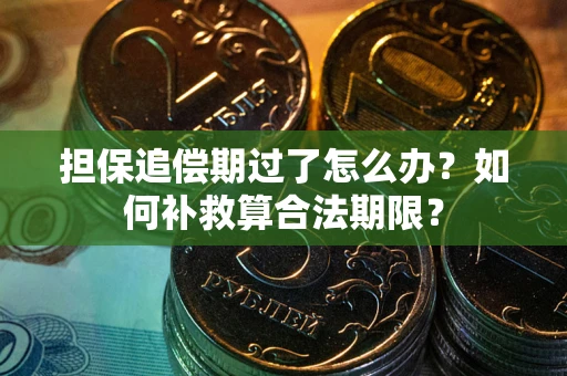 济南担保追偿期过了怎么办？如何补救算合法期限？