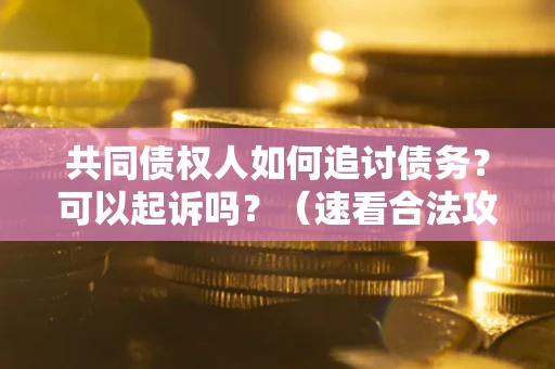 济南共同债权人如何追讨债务？可以起诉吗？（速看合法攻略）